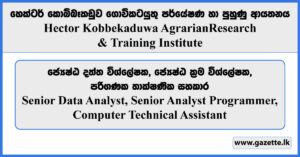 Senior Data Analyst, Senior Analyst Programmer, Computer Technical Assistant - Hector Kobbekaduwa Agrarian Research & Training Institute Vacancies 2024