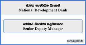 Senior Deputy Manager - National Development Bank Vacancies 2024