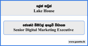 Senior Digital Marketing Executive - Lake House Vacancies 2024