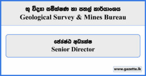 Senior Director - Geological Survey & Mines Bureau Vacancies 2023