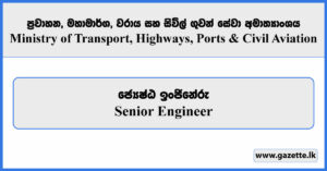 Senior Engineer - Ministry of Transport, Highways, Ports and Civil Aviation Vacancies 2025