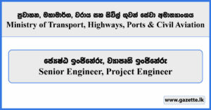 Senior Engineer, Project Engineer - Ministry of Transport, Highways, Ports and Civil Aviation Vacancies 2025