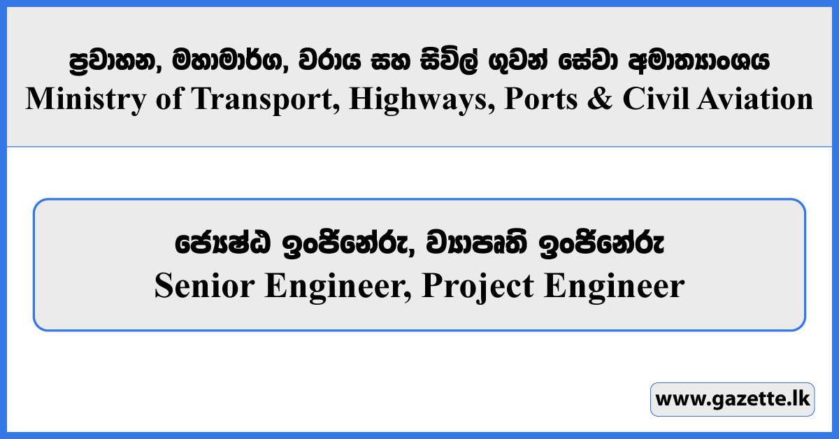 Senior Engineer, Project Engineer - Ministry of Transport, Highways, Ports and Civil Aviation Vacancies 2025