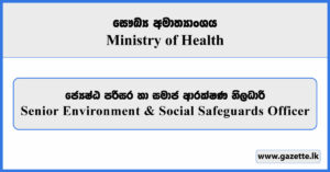 Senior Environment & Social Safeguards Officer - Ministry of Health Vacancies 2025