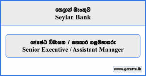 Senior Executive / Assistant Manager - Seylan Bank Vacancies 2026