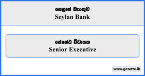 Senior Executive - Seylan Bank Vacancies 2025