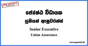 Senior Executive - Union Assurance Vacancies 2023