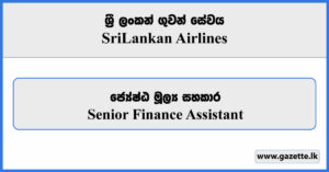 Senior Finance Assistant - Sri Lankan Airlines Job Vacancies 2024