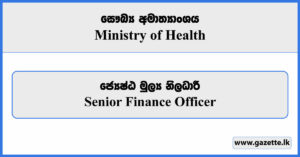 Senior Finance Officer - Ministry of Health Vacancies 2024