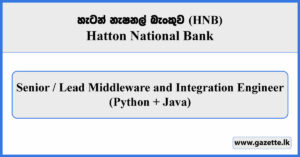 Senior / Lead Middleware and Integration Engineer (Python + Java) - HNB Vacancies 2026