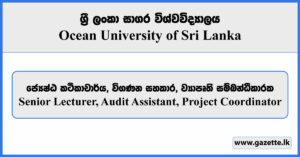 Senior Lecturer, Audit Assistant, Project Coordinator - Ocean University of Sri Lanka Vacancies 2024