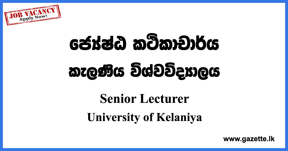 Senior Lecturer Vacancies