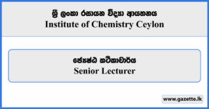 Senior Lecturer - Institute of Chemistry Ceylon Vacancies 2025