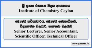 Senior Lecturer, Senior Accountant, Scientific Officer, Technical Officer - Institute of Chemistry Ceylon Vacancies 2024