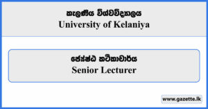 Senior Lecturer - University of Kelaniya Vacancies 2023