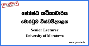 Senior Lecturer Vacancies