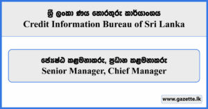 Senior Manager, Chief Manager - Credit Information Bureau of Sri Lanka Vacancies 2025