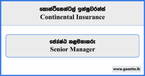 Senior Manager - Continental Insurance Vacancies 2023