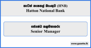 Senior Manager - Hatton National Bank Vacancies 2026