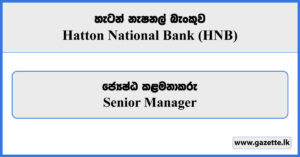 Senior Manager - Hatton National Bank Vacancies 2024