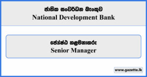 Senior Manager - National Development Bank Vacancies 2023