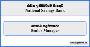 Senior Manager - National Savings Bank Vacancies 2025