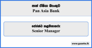 Senior Manager - Pan Asia Bank Vacancies 2023