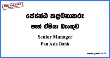 Senior Manager - Pan Asia Bank Vacancies 2023