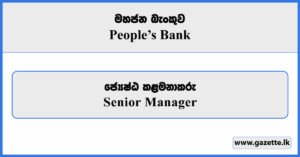 Senior Manager - Peoples Bank Vacancies 2025