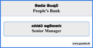 Senior Manager - People's Bank Vacancies 2023