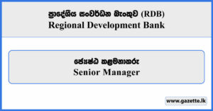 Senior Manager - Regional Development Bank Vacancies 2025