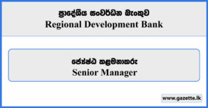Senior Manager - Regional Development Bank Vacancies 2024