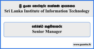 Senior Manager - SLIIT Job Vacancies 2023