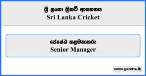 Senior Manager - Sri Lanka Cricket Vacancies 2024