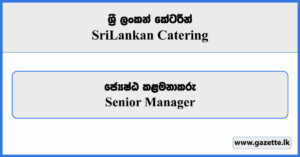 Senior Manager - Sri Lankan Catering Vacancies 2025