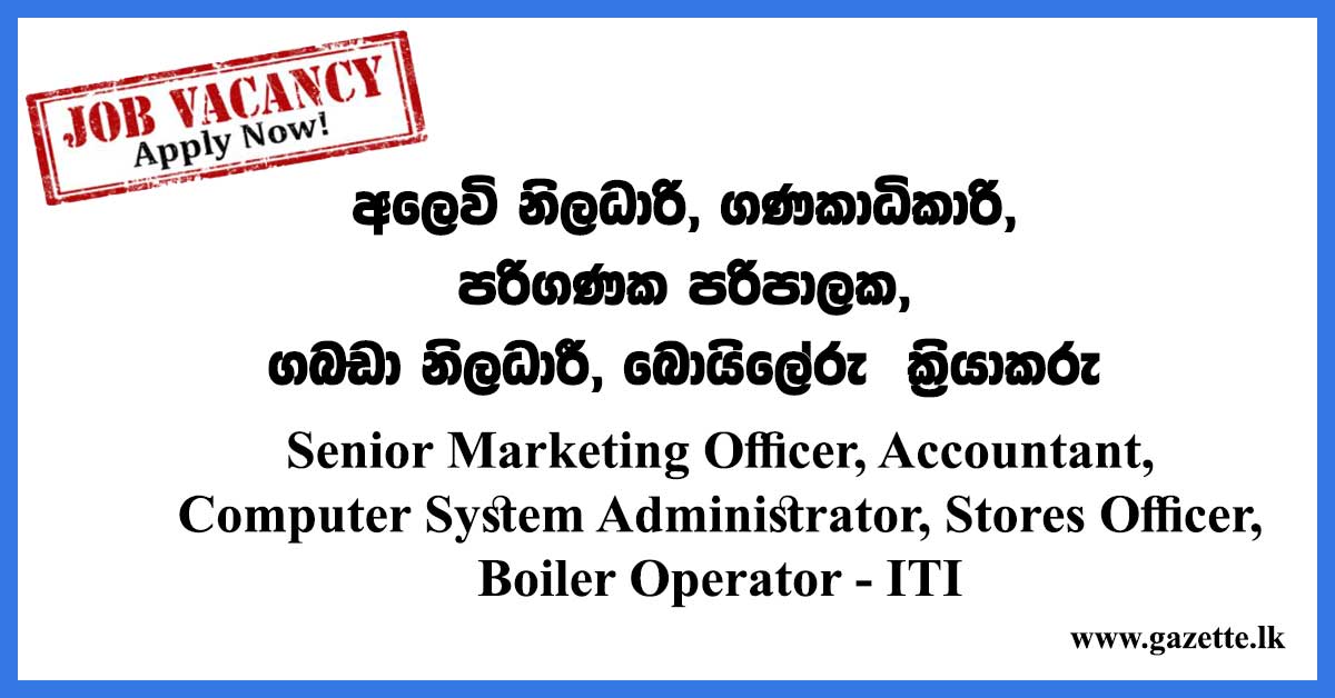 Senior-Marketing-Officer,-Accountant--ITI