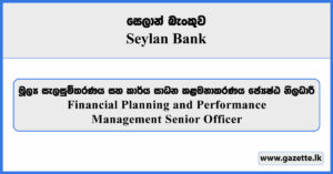 Financial Planning and Performance Management Senior Officer - Seylan Bank Vacancies 2026
