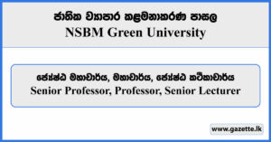 Senior Professor, Professor, Senior Lecturer - NSBM Vacancies 2023