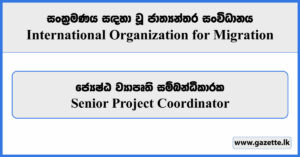 Senior Project Coordinator - International Organization for Migration Vacancies 2024