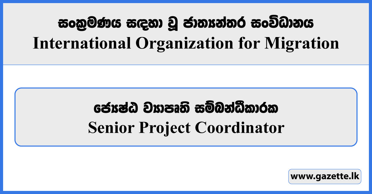 Senior Project Coordinator - International Organization for Migration Vacancies 2024