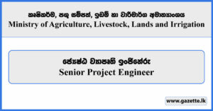 Senior Project Engineer - Ministry of Agriculture, Livestock, Lands and Irrigation Vacancies 2025