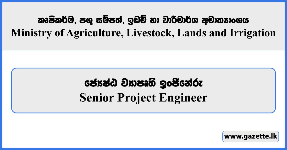 Senior Project Engineer - Ministry of Agriculture, Livestock, Lands and Irrigation Vacancies 2025