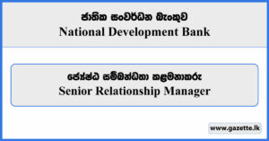 Senior Relationship Manager - National Development Bank Vacancies 2023