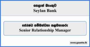 Senior Relationship Manager - Seylan Bank Vacancies 2024