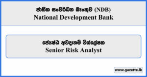 Senior Risk Analyst - National Development Bank Vacancies 2026