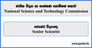 Senior Scientist - National Science and Technology Commission Vacancies 2024