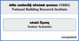 Senior Scientist - National Building Research Institute 2026