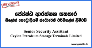 Senior-Security-Assistant---CPSTL-