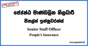 Senior Staff Officer - People's Insurance Vacancies 2023