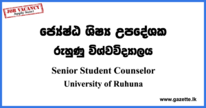 Senior Student Counselor